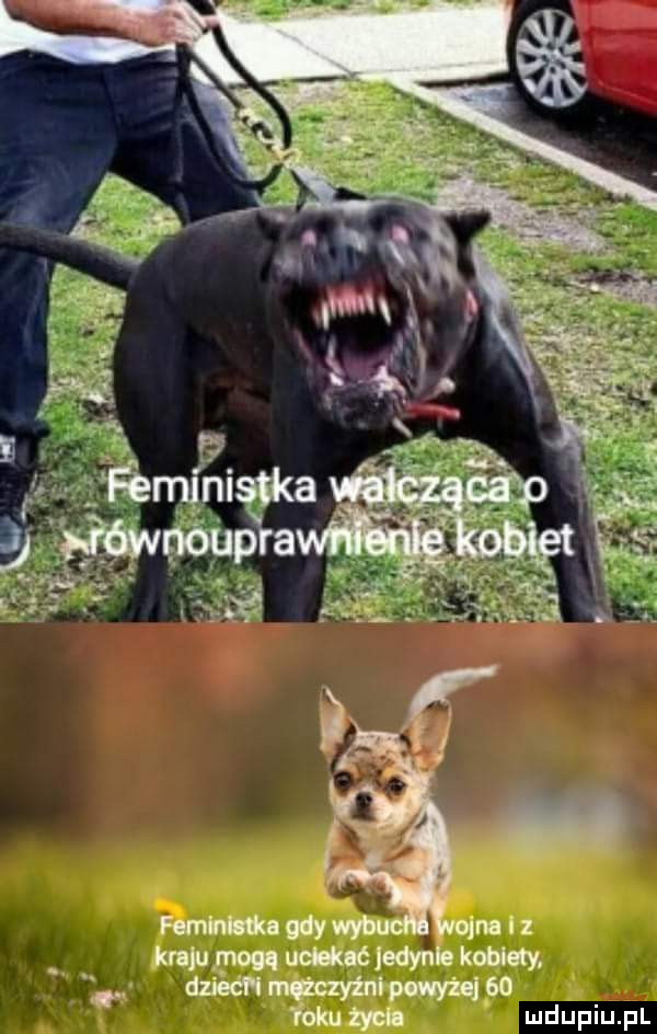 bujnym m jedynie kohloty. abakankami dnieć naczyniu yin    foku m mduplu pl