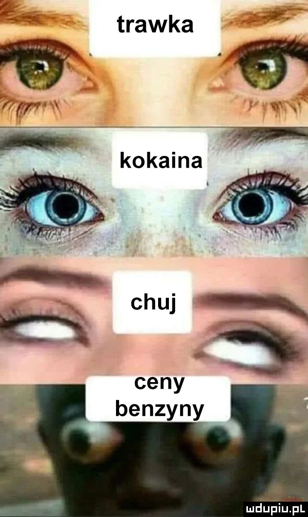 luduiuiupl