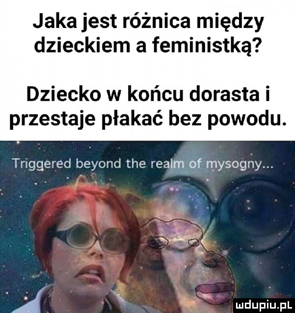 jaka jest różnica między dzieckiem a feministką dziecko w końcu dorasta i przestaje płakać bez powodu. triggered beyond tee realm of mysognym   j