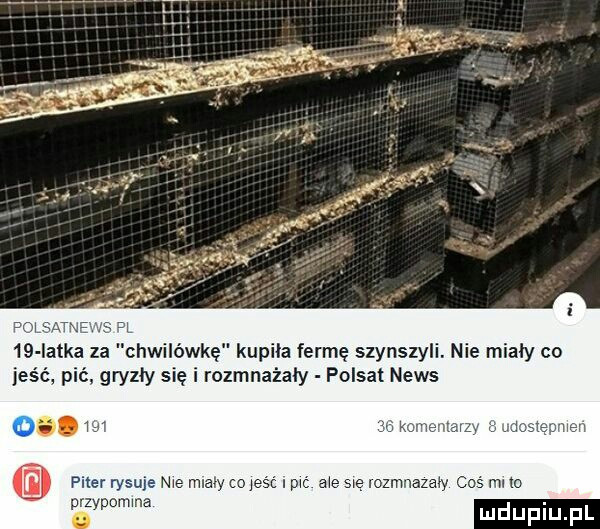 iatka za chwilówkę kupila farmę szynszyli. nie miały co ą gryzły się ozmnażaiy polsat news     w mw piter rysuje nu mew m jean i mi ax w lozmnazaw przypomma