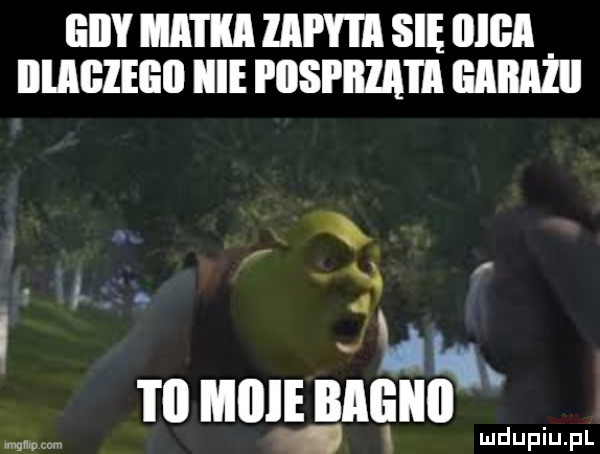 iiily matka lal y i a się iiiga illlgieeii icie piispiiia i a mami ł. a m mu budna wwwwwww