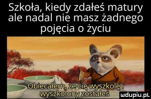 szkoła kiedy zdałeś matury ale nadal nie masz żadnego pojęcia o życnźu