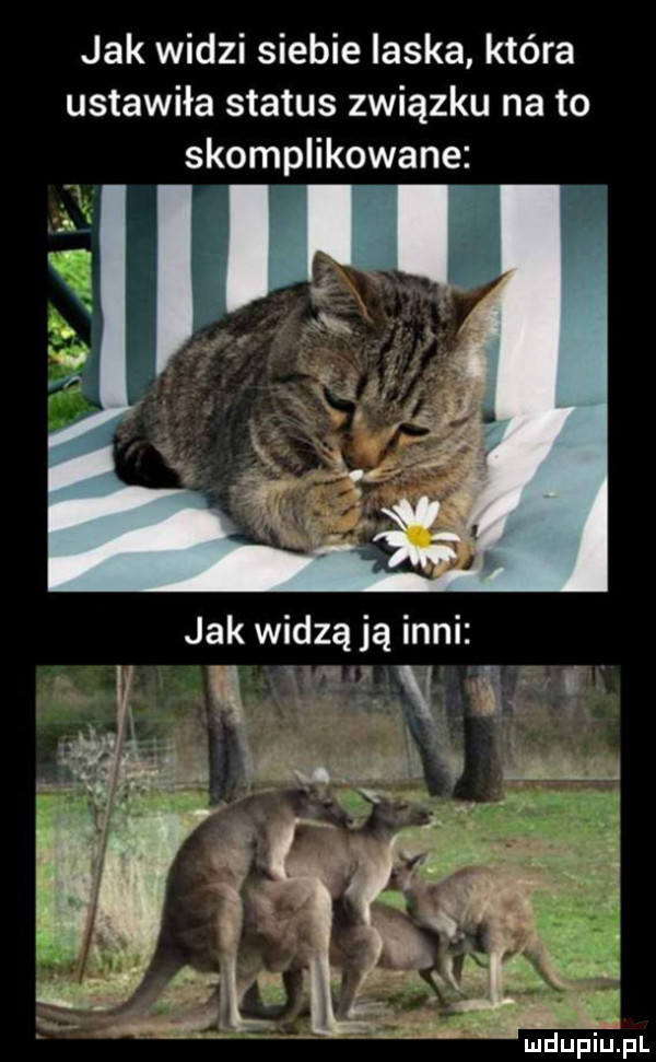 jak widzi siebie laska która ustawiła status związku na to skomplikowane