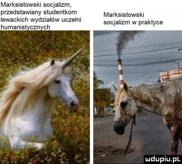 marksistowski socjalizm. przedstawiany studentkom marksislow ki socjalizm w praktyce lewackich wydziałów uczelni humanist cen ch
