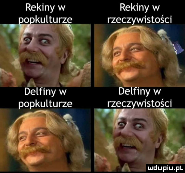 rekiny w rekiny w o kulturze rzeczywistości. abakankami    a óelfiny v délfiny w popkulturze rzec istości qx    . l. abakankami. by