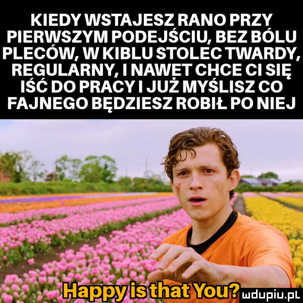 kiedy wstajeszrano przy pierwszym podejsciu bez bolu plecow w kiblu stolec twardy regularny i nawet chce ci się iśó do pracy i już myslisz co fajnego będziesz robił po niej