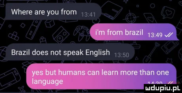 where are y-u from w brazil dres not steak english  n mdupiu fl