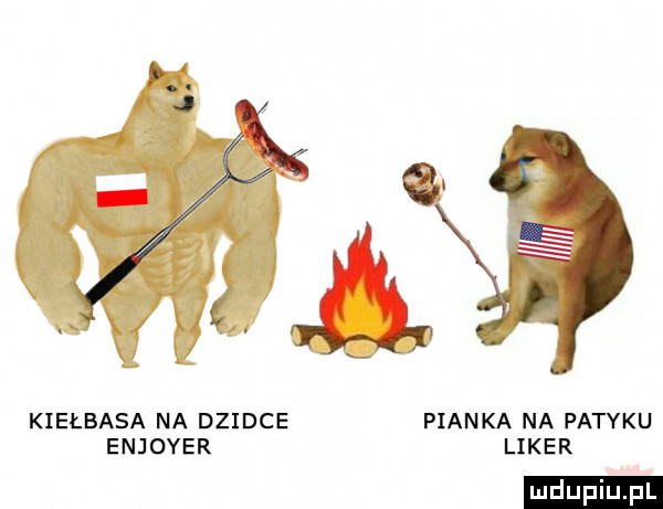 kiełbasa na dziwce pianka na patyku enjoyer liber