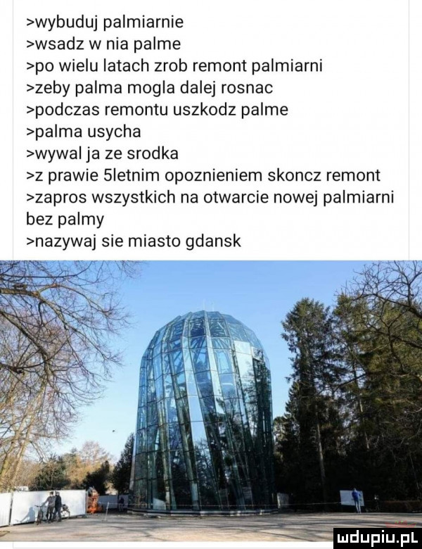 wybuduj palmiarnie wsadz w nia palme po wielu latach zrob remont palmiarni zeby palma mogla dalej rosnac podczas remontu uszkodz palme palma usycha wywal ja ze srodka z prawie  ietnim opoznieniem skoncz remont zapros wszystkich na otwarcie nowej palmiarni bez palmy nazywaj sie miasto gdansk mduplupl