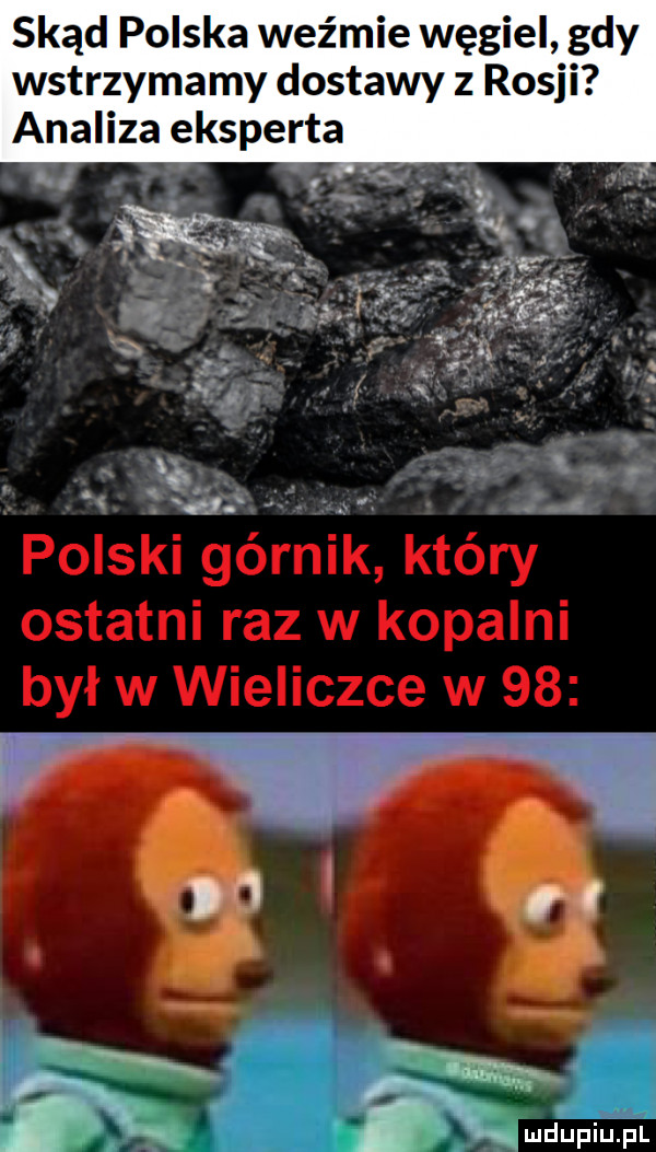 skąd polska weźmie węgiel gdy wstrzymamy dostawy z rosji analiza eksperta