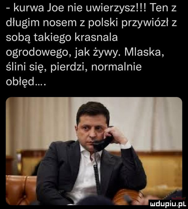 kurwa joe nie uwierzysz ten z długim nosem z polski przywiózł z sobą takiego krasnala ogrodowego jak żywy. mlaska ślini się pierdzi normalnie obłęd