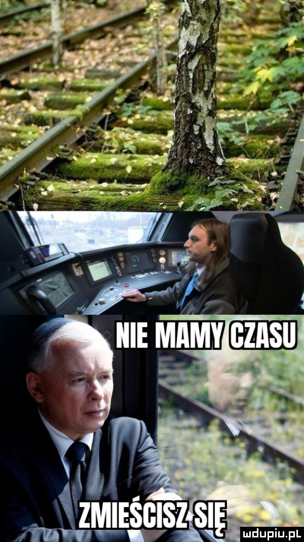 ę s z b c   i. m