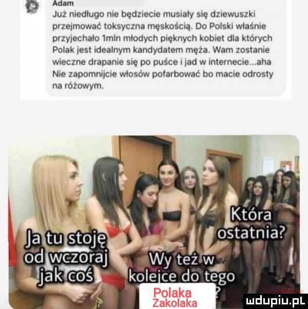aanm juz niedługo nie będziecie musiały sue dzrewuszh przelmowac loksyczna męskością do polak. właśnie prlylechaln imin mlonach ulękłych kobiet dla kmrycn polak les idealnym kandydatem meza. wam zostanie wieczne drapanie się po paśce i lad w internecie aha nie zapommjcue włosów povarbowar bo magle odrosty na razowym