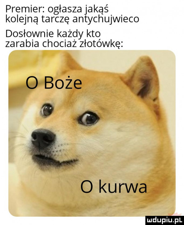 premier ogłaszajakąś kolejną tarczę antychujwieco dosłownie każdy kto zarabia chociaż złotówkę o boże o   o kanna ludu iu. l