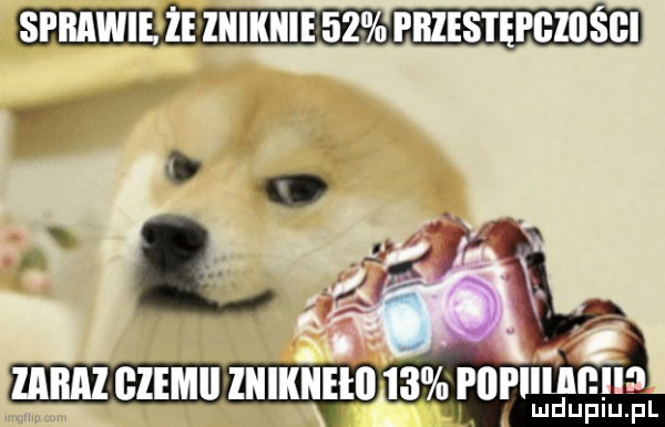 sprawie. że ziiikiiie    pies i ępiiio gl. zmxmn  a amlﬁ nnua