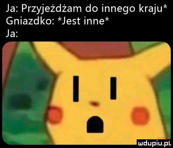 ja przyjeżdżam do innego kraju gniazdko jest inne ja