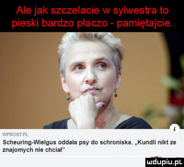 ale jak szczekacie w sylwestra to pieski bardzo płacze pamiętajcie. i. ą scheurlng wielgus oddala psy do schromska kundli mat ze znajomych nie chciał