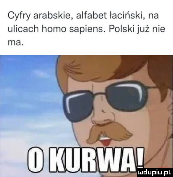 cyfry arabskie alfabet łaciński na ulicach homo sapiens. polski już nie ma