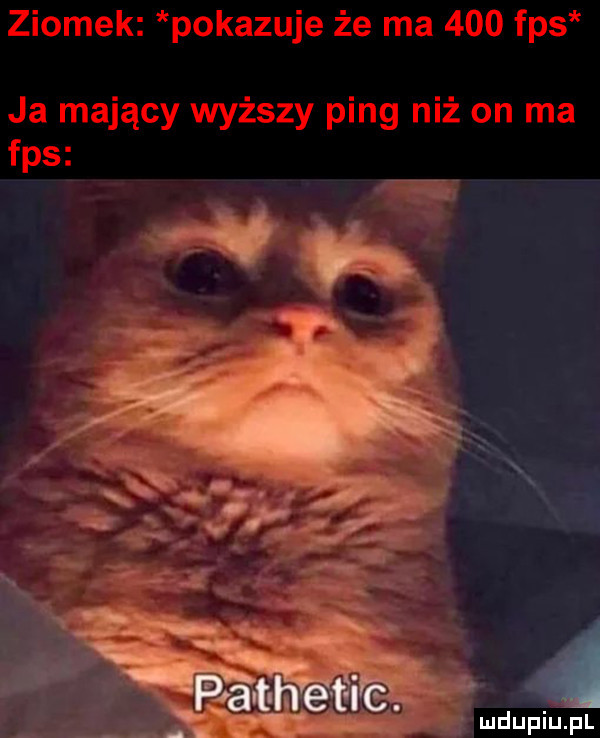 Obrazek