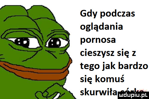 gdy podczas oglądania pornosa cieszysz się z tego jak bardzo się komuś skurwiła