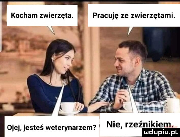 kocham zwierzęta. pracuję ze zwierzętami. ojej jesteś weterynarzem mae rzeznlklem