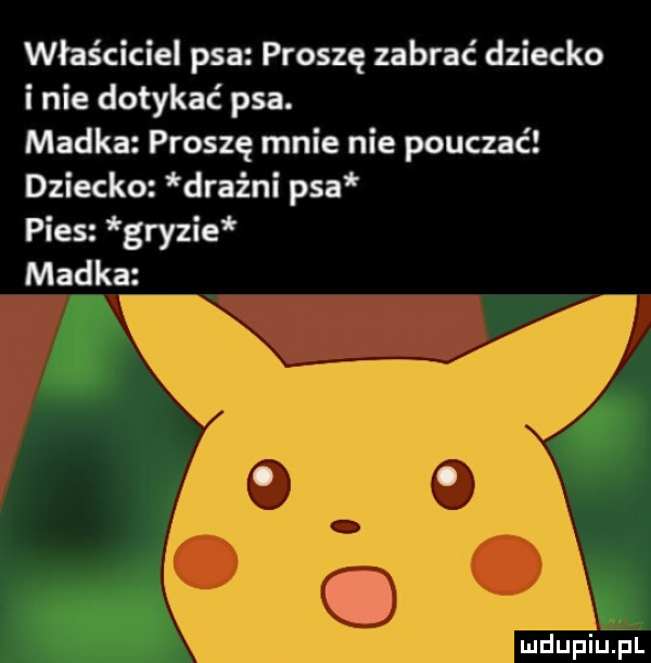 właściciel psa proszę zabrać dziecko i nie dotykać psa. madka proszę mnie nie pouczać dziecko drażni psa pies gryzie madka