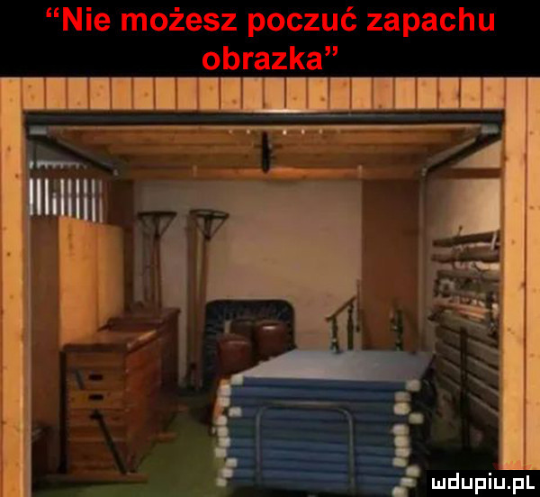 nie możesz poczuć zapachu obrazka