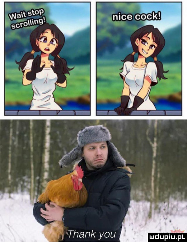 Obrazek