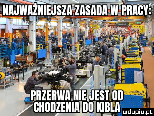mew icie jesiiii u ludupiu. pl