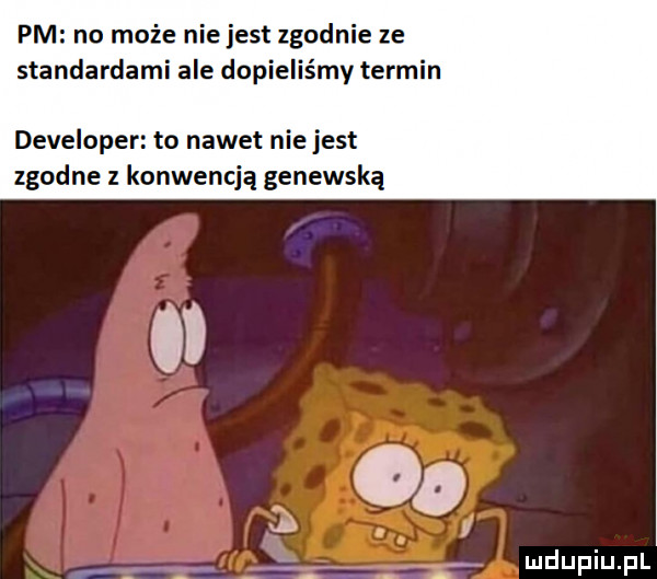 pm no może nie jest zgodnie ze standardami ale dosieliśmy termin developer to nawet niejest zgodne z konwencją genewską
