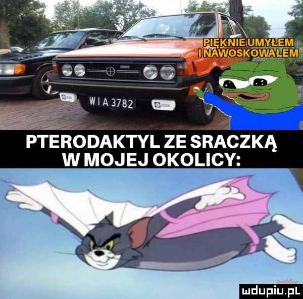 upiu pl