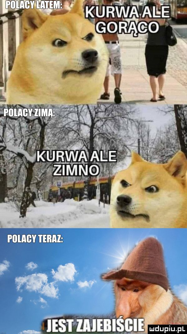 łu a ﬂ. e vi m n di