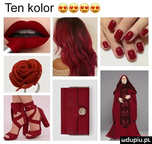 ten kolor   s o    a