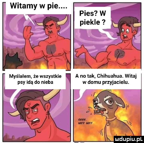 myślałem że wszystkie a na tak chihuahua. witaj psy idą do nieba w domu przyjacielu.  . v
