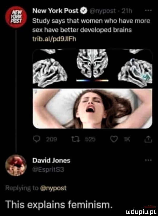 naw york post   saudy saks trat wojen who hace more sex hace better developed brains irib al pd  th v a david jones ypost tais explains feminizm. mduplu pl