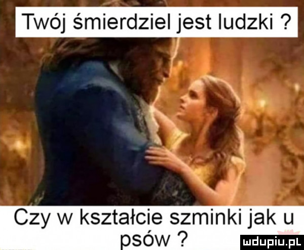 twój śmierdziel jest ludzki s czy w kształcie szminki jak u sów