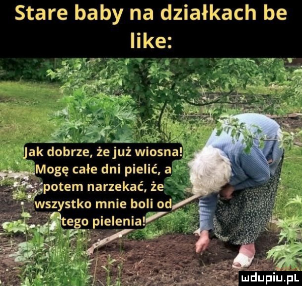 stare baby na działkach be like