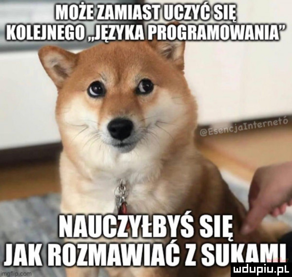 uaucvas su um nuzmhwiezsuydlulpm