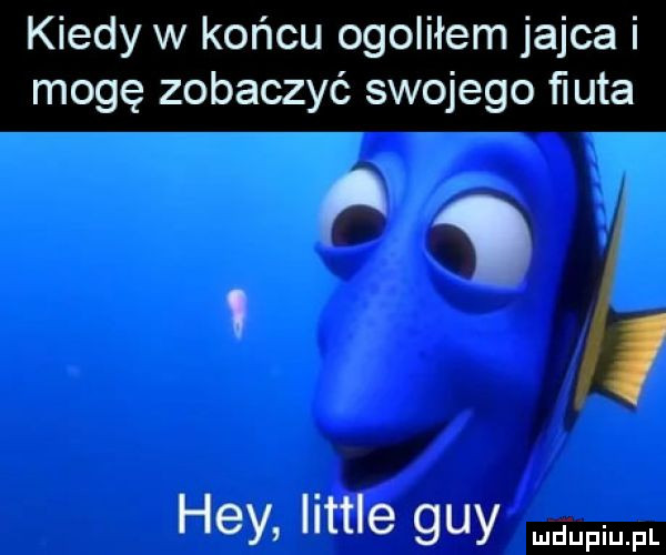 kiedy w końcu ogoliłem jajca i mogę zobaczyć swojego ﬁuta   i hey littré gay mjupiupl