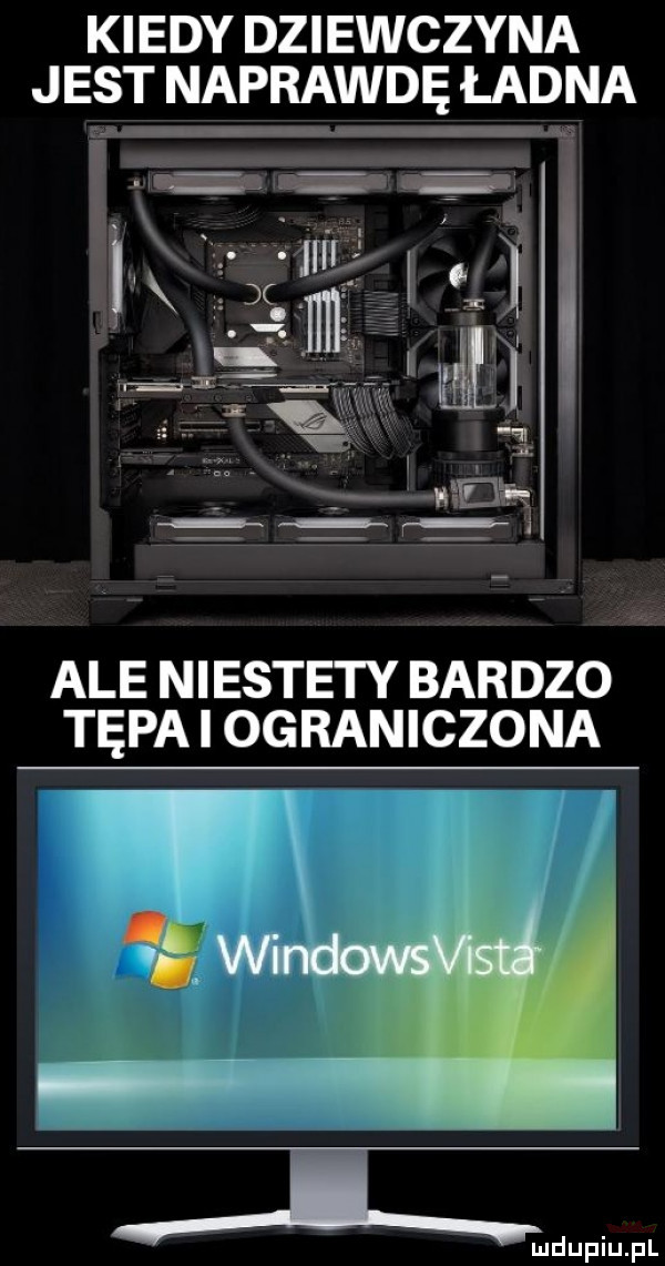 kiedy dziewczyna jest naprawdę ładna ale niestety bardzo tępa i ograniczona j