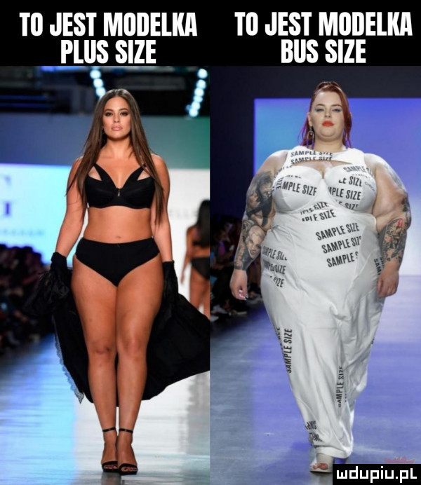 t  jest miiiielka iii jest modelki plus sice bus sice