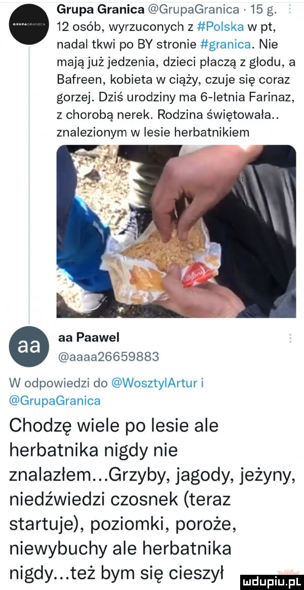 grupa granica grupagranica    g.      osób wyrzuconych z polska w pt nadal tkwi po by stronie granica. nie mająjuż jedzenia dzieci płaczą z glodu a bafreen kobieta w ciąży czuje się coraz gorzej. dziś urodziny ma   ietnia farinaz z chorobą nerek. rodzina świętowała. znalezionym w lesie herbatnikiem aa paawel aaaa         w odpowiedzi do wosztyiartur i grupagranica chodzę wiele po lesie ale herbatnika nigdy nie znalazłem grzyby jagody jeżyny niedźwiedzi czosnek teraz startuje poziomki poroże niewybuchy ale herbatnika nigdy też bym się cieszyl