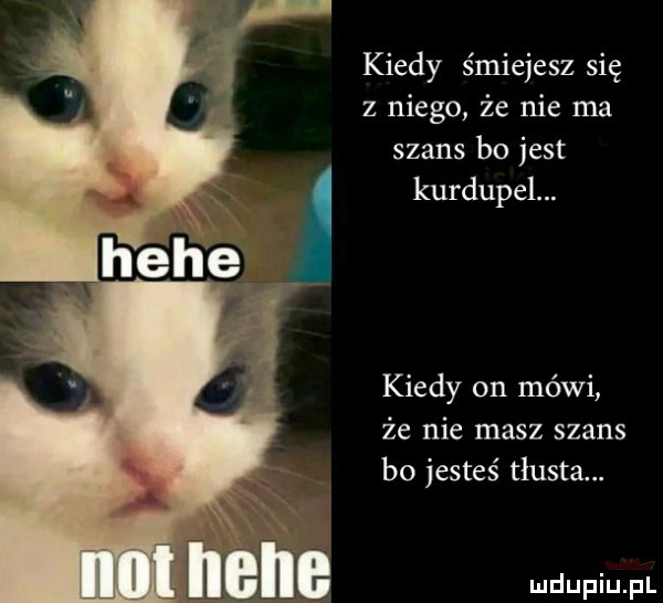 kiedy śmiejesz się z niego że nie ma szans bo jest kurdupel. kiedy on mówi że nie masz szans bo jesteś tlusta. ile