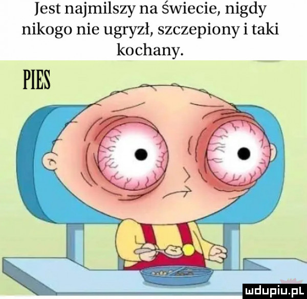 list najmilszy na świecie nigdy nikogo nie ugryzł szczepiony i taki kochany