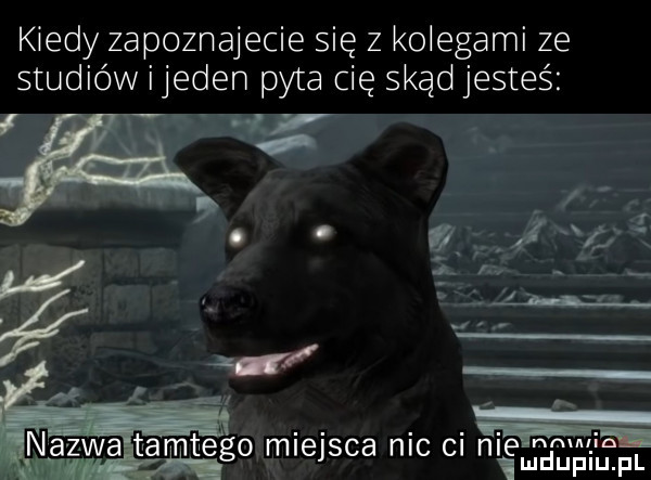 kiedy zapoznajecie się z kolegami ze studiów ijeden pyta cię skąd jesteś r w. w nw tamteo miejsca nic ci