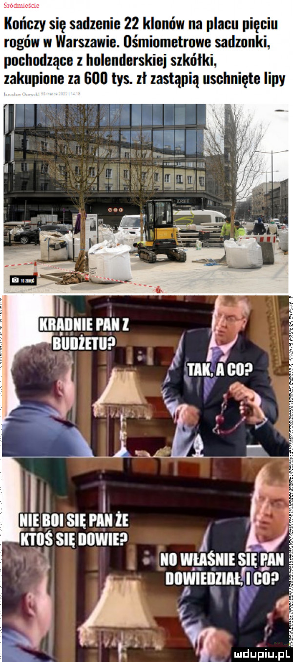 kenozy się sadzenie    klonów na placu pięciu rogów w warszawie. ośmiometrowe sadzonki pochodzące z holenderskiej szkółki. zakupione za     tys. zł zastąpią uschnięte lipy ktoś się iiiiwie. nowgsnusmno ooviiiozmtflco
