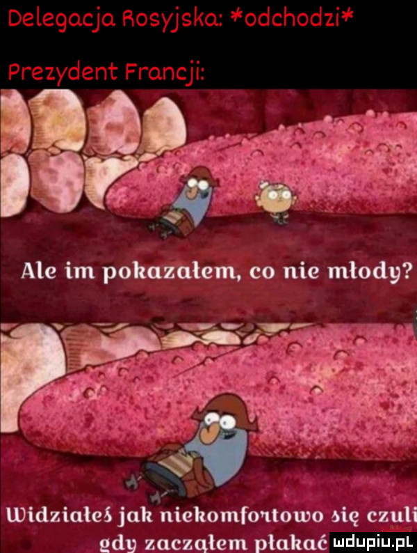 widziales jak niehomfo ltouao big czuli edy zacząłem płukać