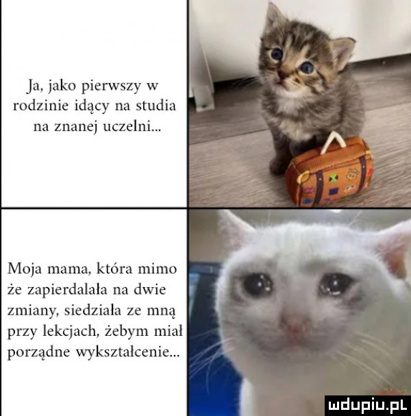 ja jako pierwszy w rodzinie idący na studia na znanej uczelni moja mama która mimo że zapierdalała na dwie zmiany siedziala ze mną przy lekcjach żebym miał porządne wykształcenie