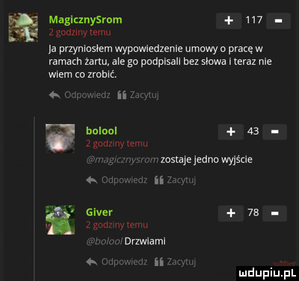magicznysrom       godziny temu ja przyniosłam wypowiedzenie umowy o pracę w ramach żartu ale go podpisali bez słowa iteraz nie wiem co zrobić. w      w mm ii an. bolool    z godziny temu was irys wii zostajejedno wyjście      a giser      godziny temu adm. drzwiami  x on