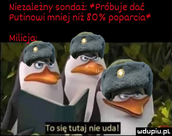 i to się tutaj nit udal duma pl
